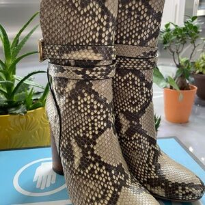 Gucci Snake Print Heeled Boots - Black and Cream